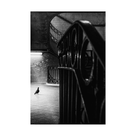 Laura Mexia 'Big Bird In A Small Cage' Canvas Art,30x47